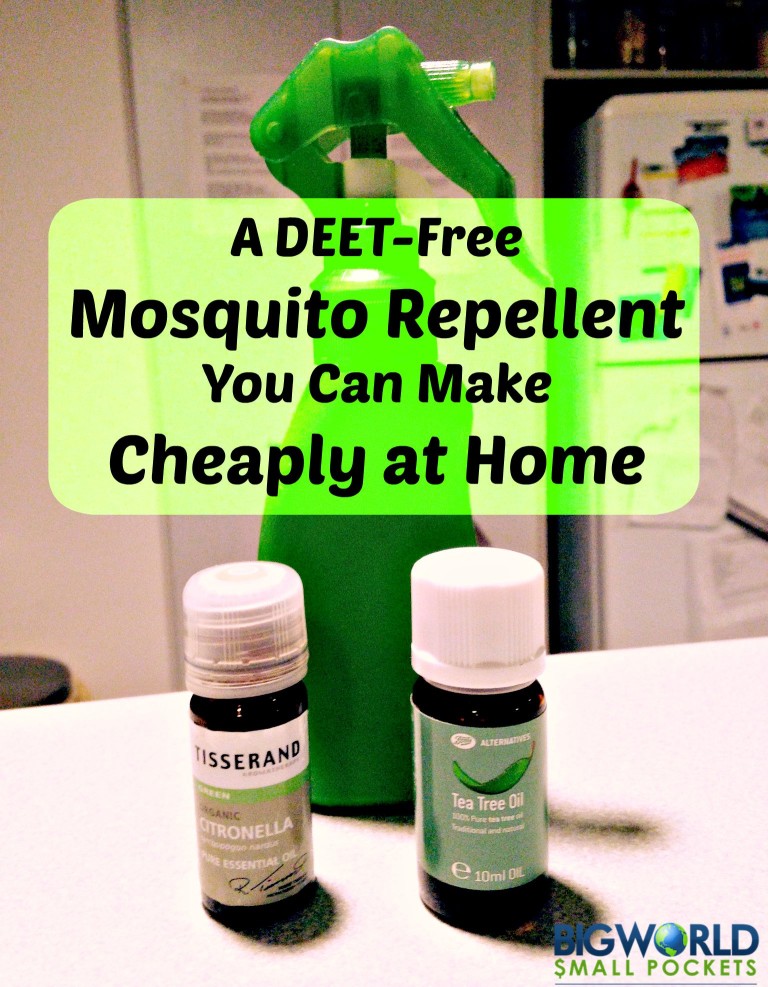 DEETFREE Mosquito Repellent You Can Make Cheaply at Home Big World