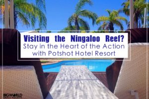 Visiting the Ningaloo Reef? Then Stay in the Heart of the Action with Potshot Hotel Resort Visiting the Ningaloo Reef? Then Stay in the Heart of the Action with Potshot Hotel Resort