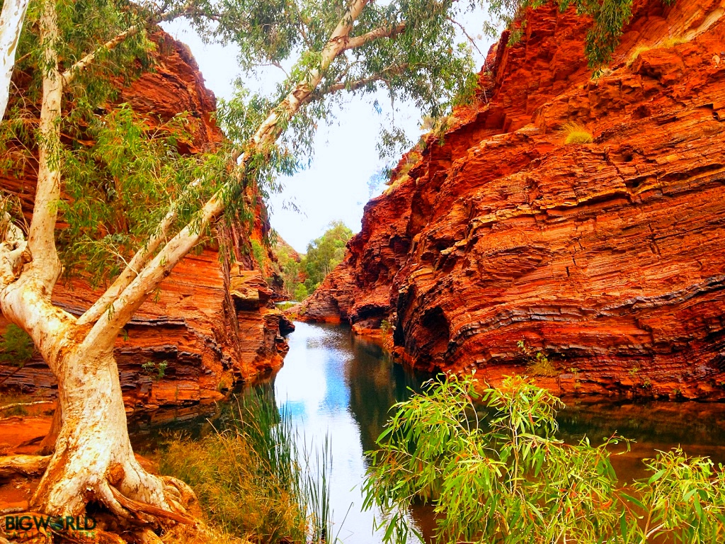 The 22 Australian National Parks You Simply Must See - Big World Small