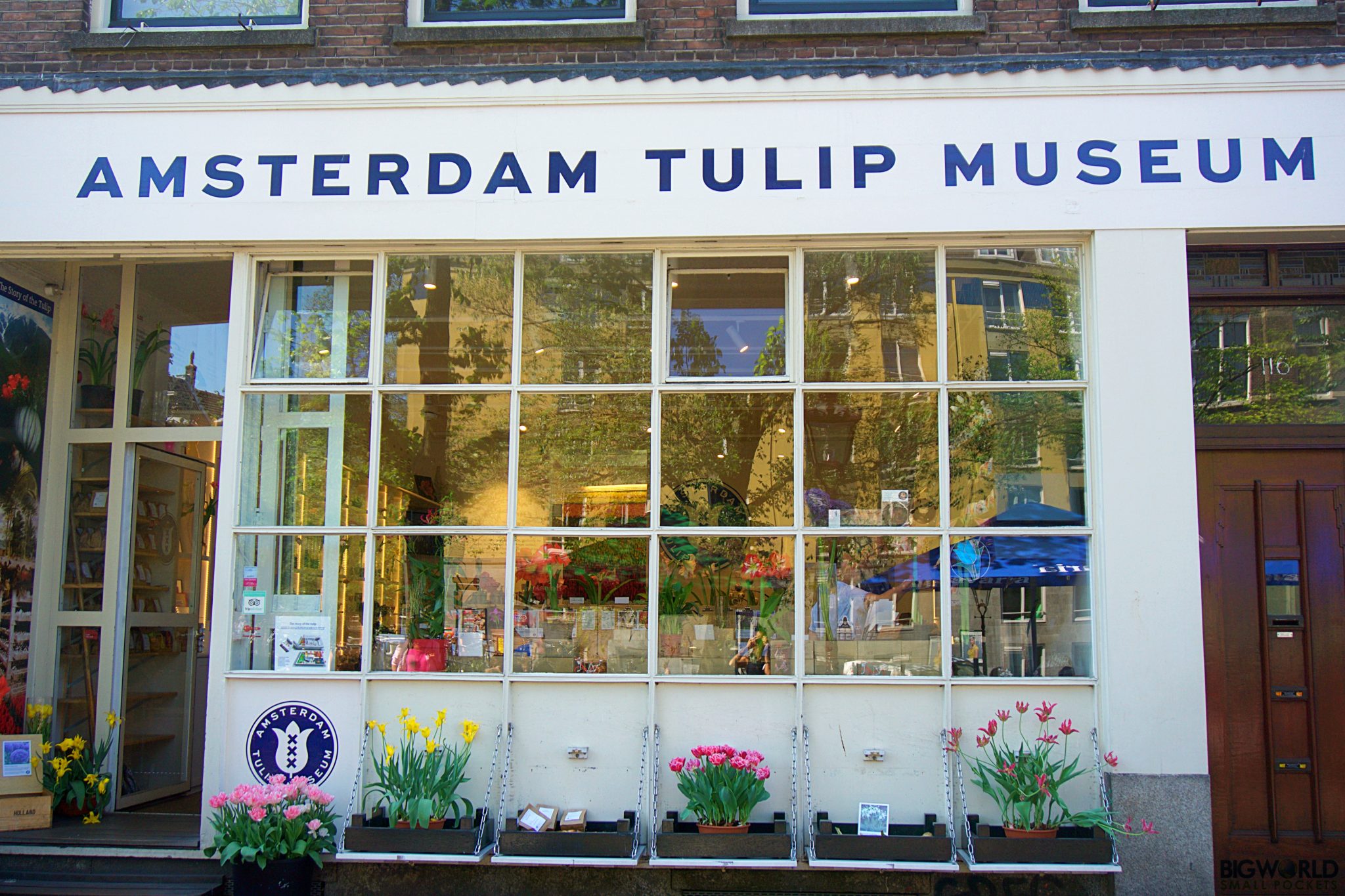 72hrs in Amsterdam … on a Budget! Your Perfect 3 Day Itinerary Big