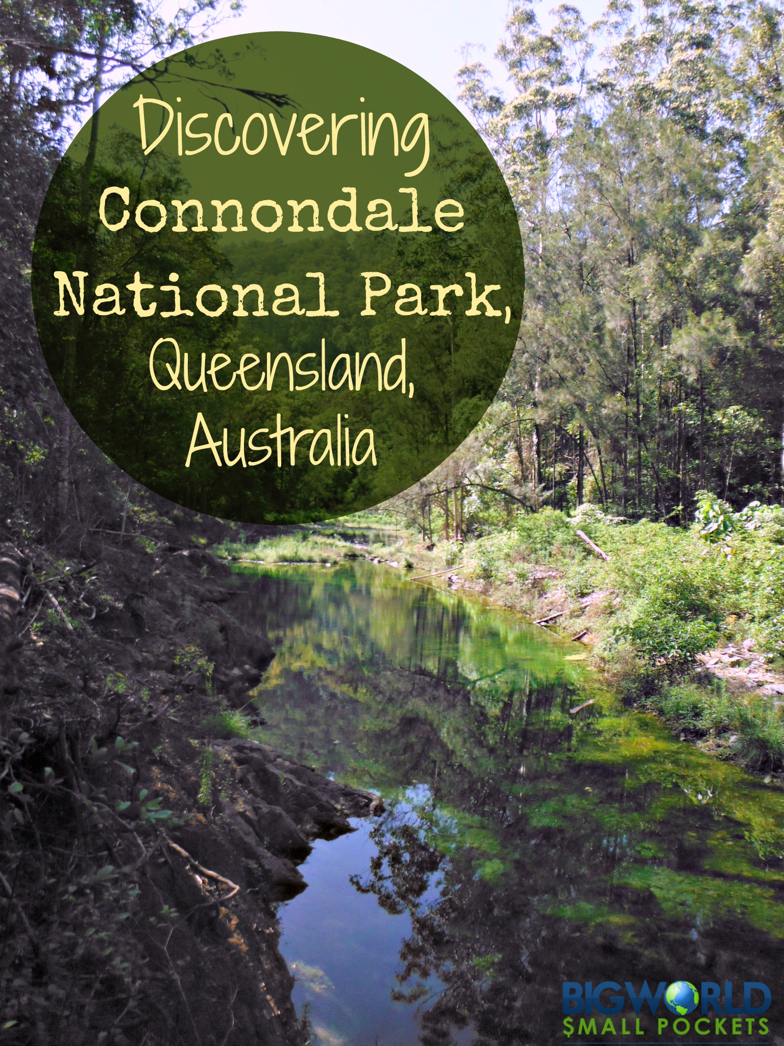 Discovering Conondale National Park, Queensland, Australia {Big World Small Pockets}