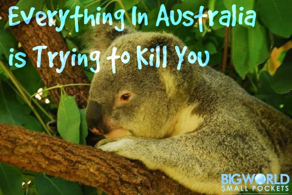 Everything in Australia is Trying to Kill You