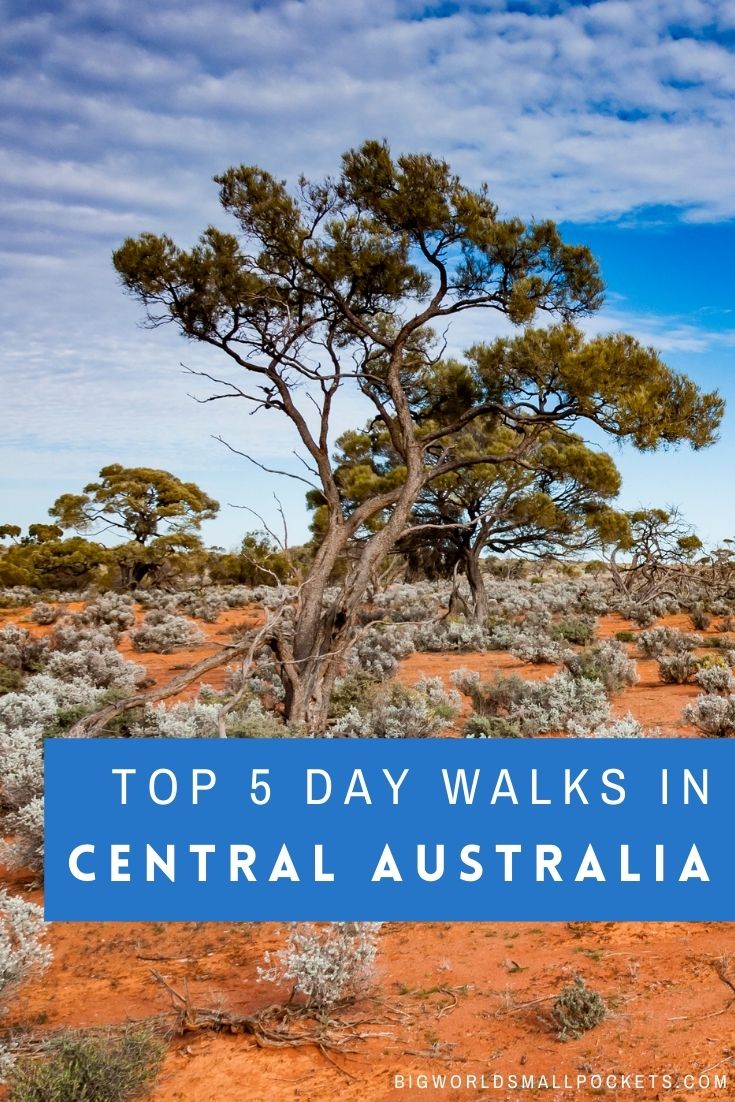 Top 5 Day Walks in Central Australia