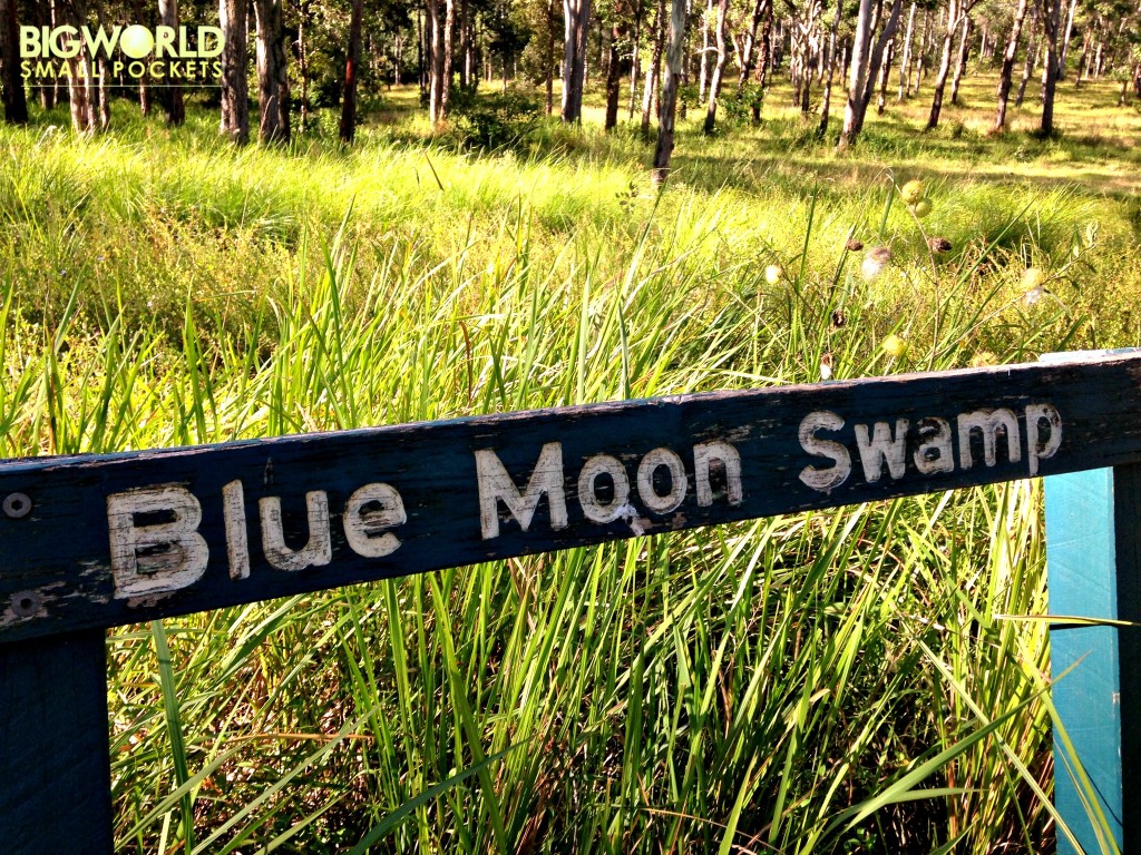 Blue Moon Swamp