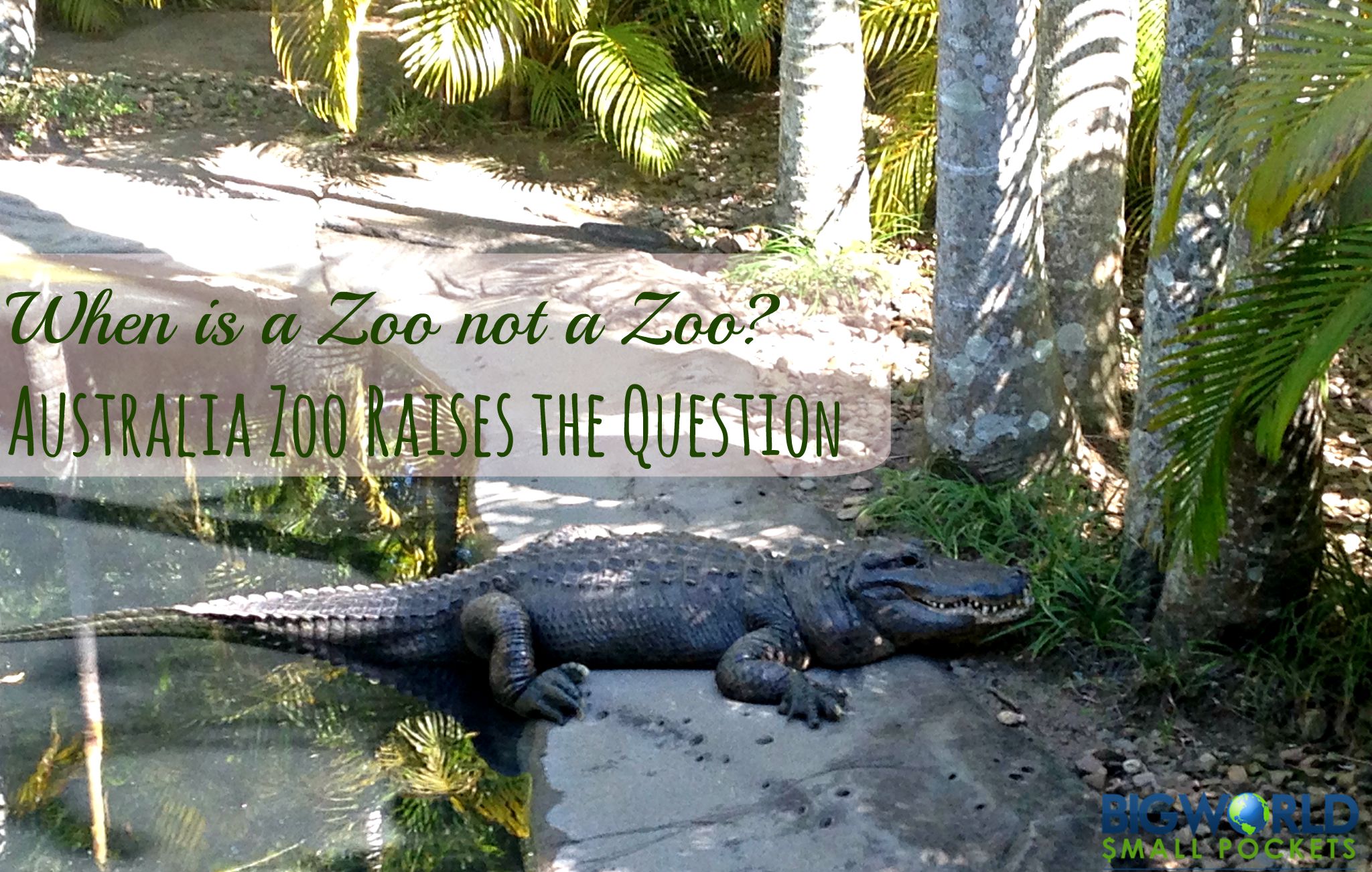When Is A Zoo Not A Zoo Australia Zoo Raises The Question Big World Small Pockets
