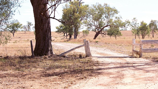 Australia, Outback, Farm