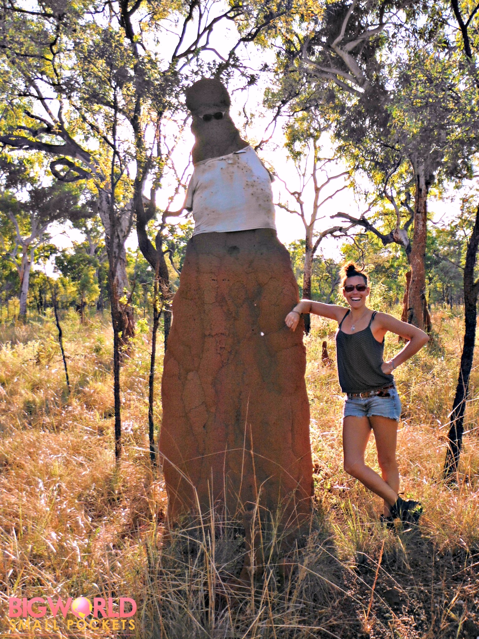 Australia, Litchfield, Huge Termite Mound