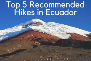 Top 5 Recommended Hikes in Ecuador