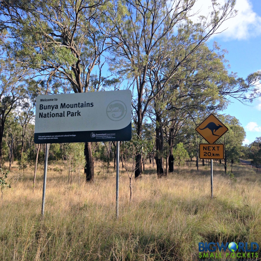 Bunya Mountains NP