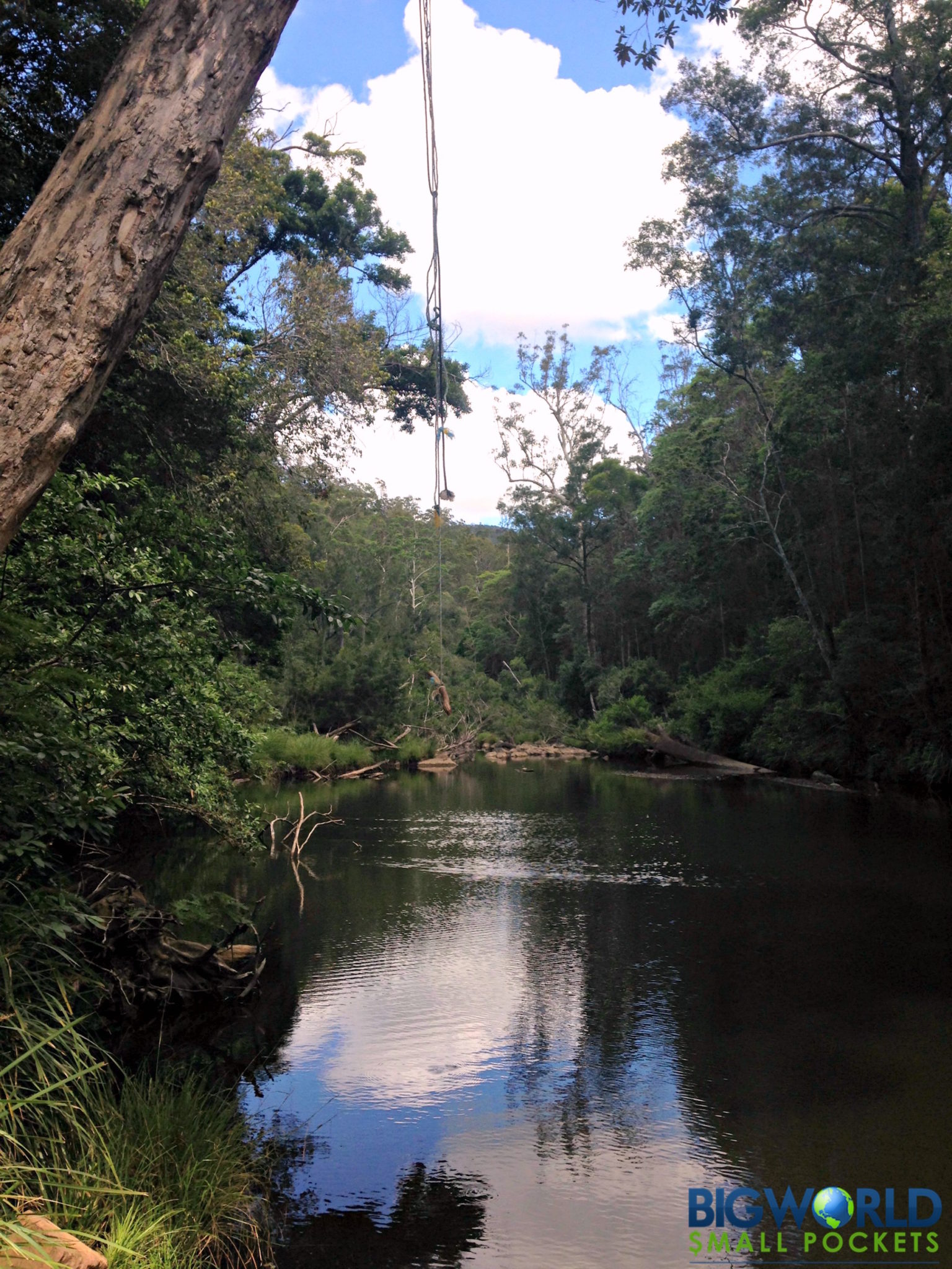 Rope Swing