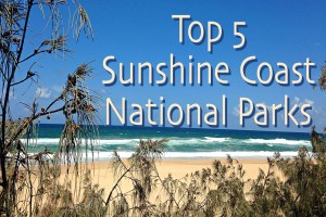 Top 5 Sunshine Coast National Parks