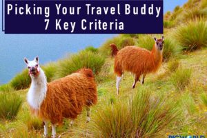 Picking Your Travel Buddy: 7 Key Criteria