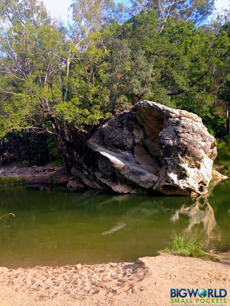 Carnarvon Gorge Rock Pool