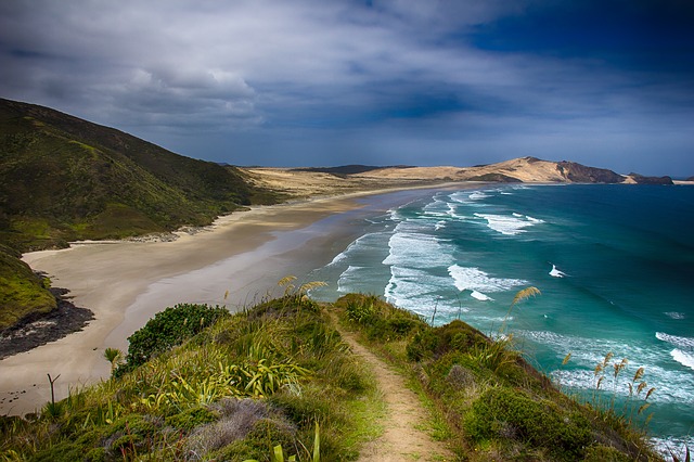 New Zealand, Coast, Beach