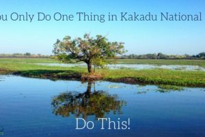 If You Only Do One Thing in Kakadu National Park, Do This!