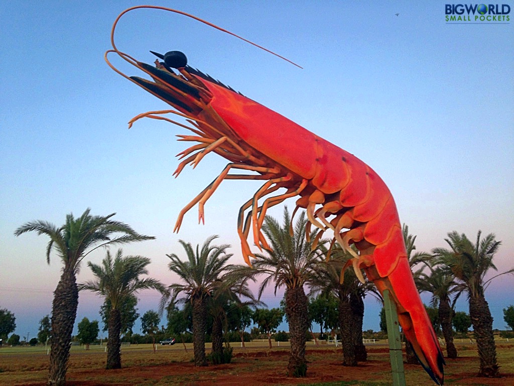 giant-prawn