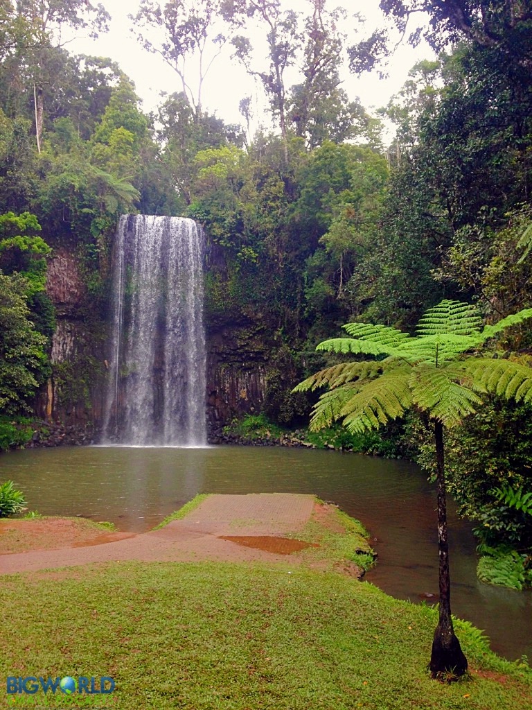 12 Best Free Things To Do In The Atherton Tablelands Big World