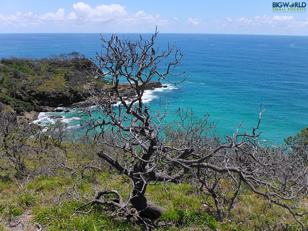 Australia, Noosa, National Park