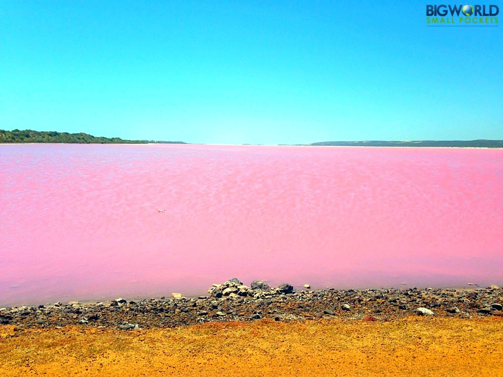 Australia, Gregory, Pink Lake