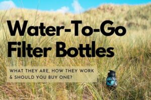 Water-To-Go Filter Bottles: Are They Worth It?