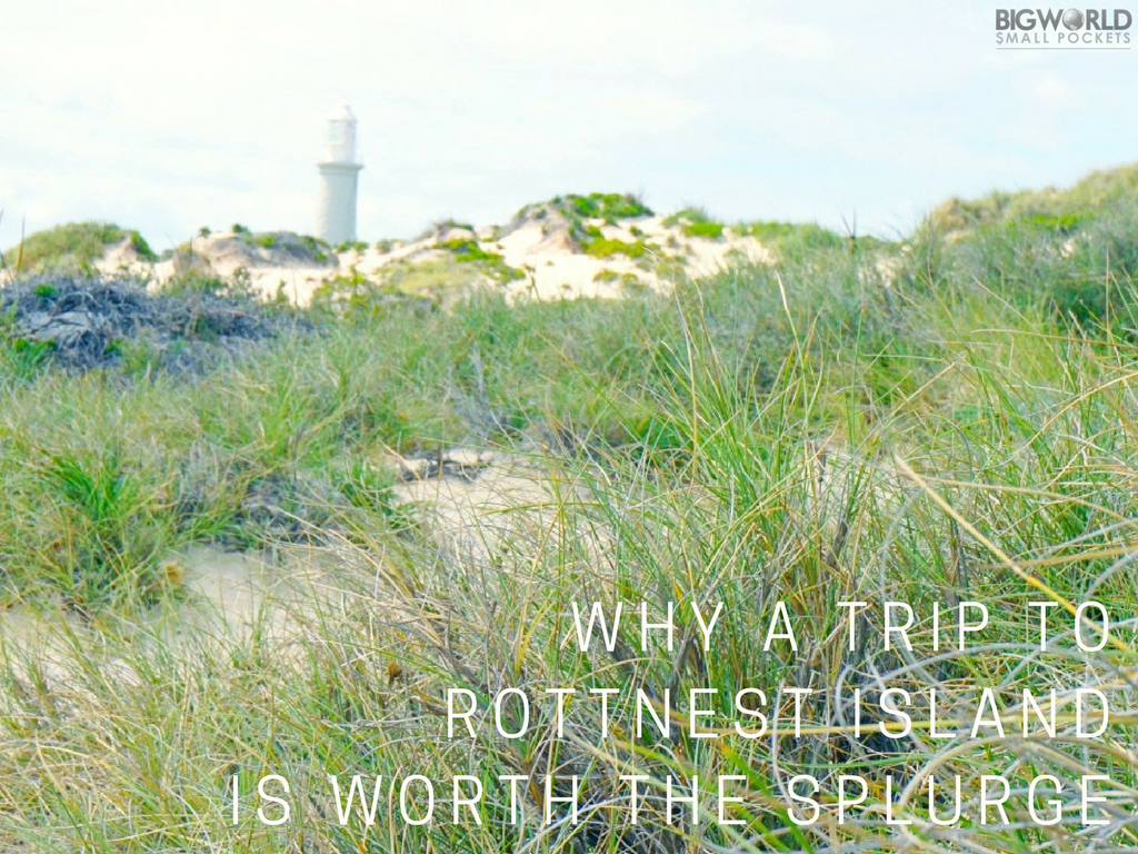 Why a Trip to Rottnest Island is Worth the Splurge
