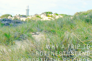 Why a Trip to Rottnest Island is Worth the Splurge