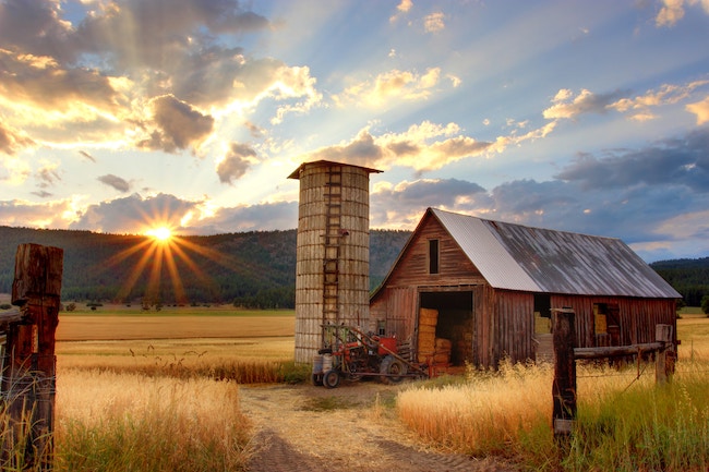 Australia, Farming, Nightmare