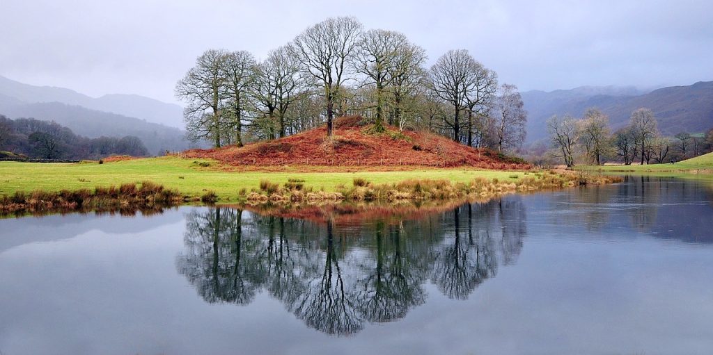 England, Lake District, Trees