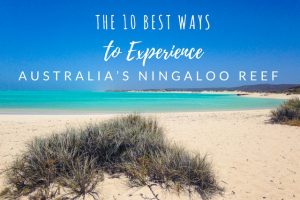 The 10 Best Ways to Experience Australia’s Ningaloo Reef