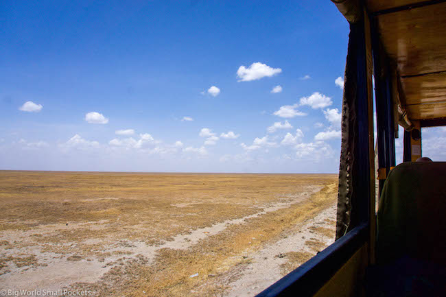 Absolute Africa, Serengeti, Window View