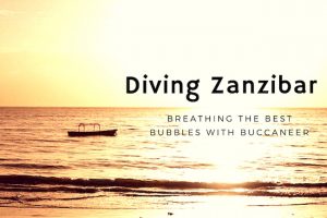 Diving Zanzibar: Breathing the Best Bubbles with Buccaneer