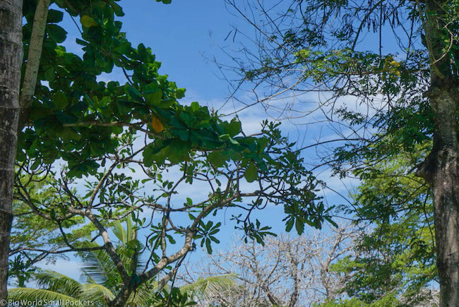 Kenya, Distant Relatives, Sky