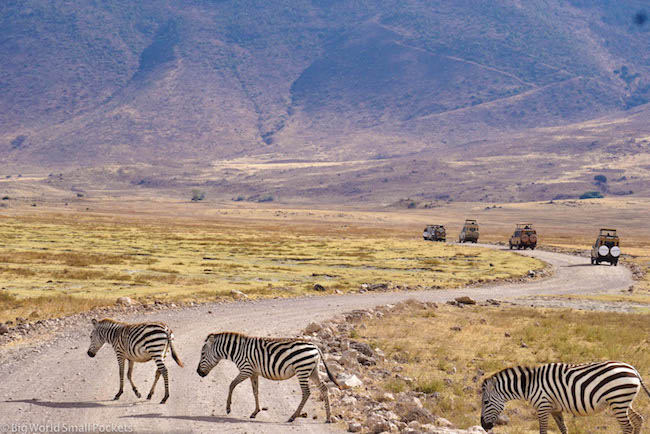 Tanzania, Ngorongoro Crater, Zebra