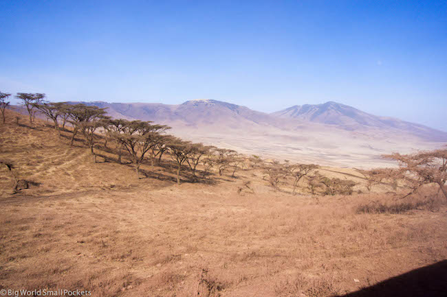 Tanzania, Serengeti, Landscape