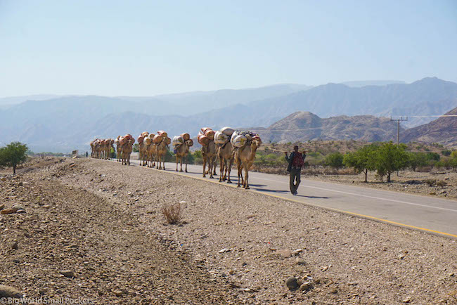 Ethiopia, Danakil Depression, Caravan