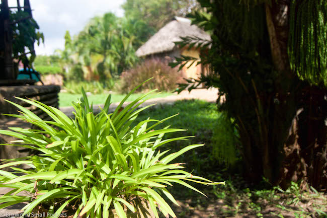 Kenya, Diani Backpackers, Gardens