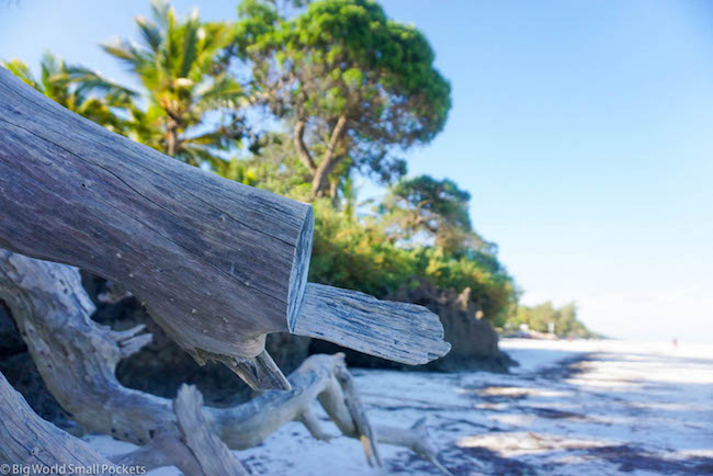 Keňa, Diani Beach, Naplavené dříví