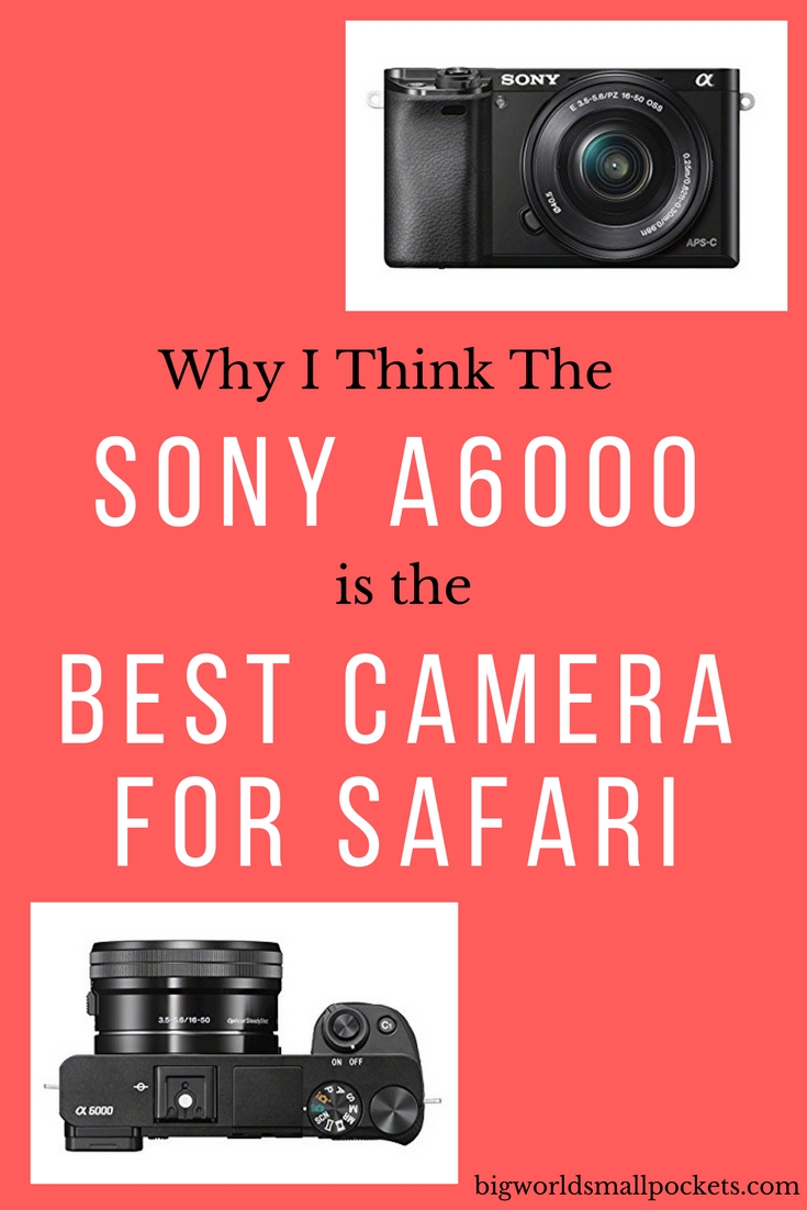 The Best Camera for Safari {Big World Small Pockets}