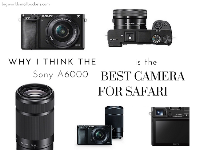 How to get BETTER Photos from your SONY A6000 series camera 