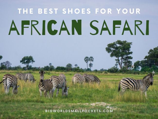 The Best Shoes For Your African Safari Big World Small Pockets