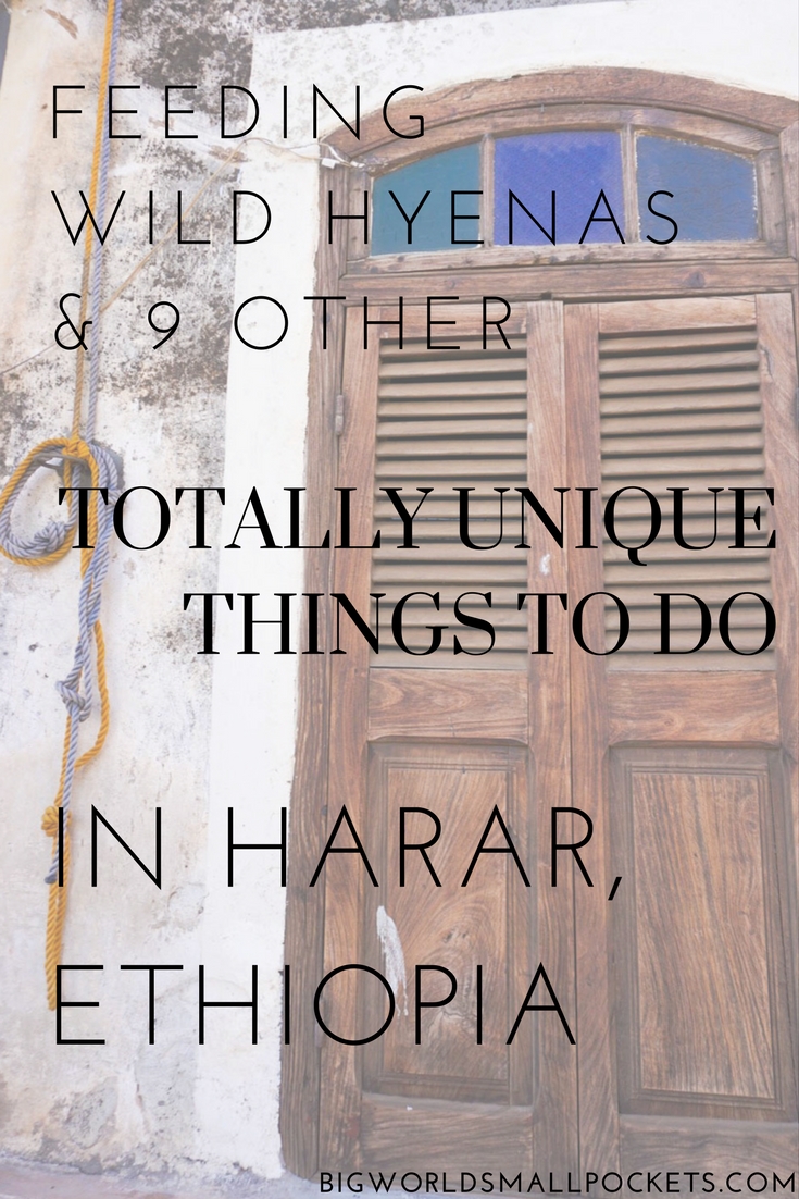 Feeding Wild Hyenas and 9 Other Unique Things to Do in Harar, Ethiopia {Big World Small Pockets}