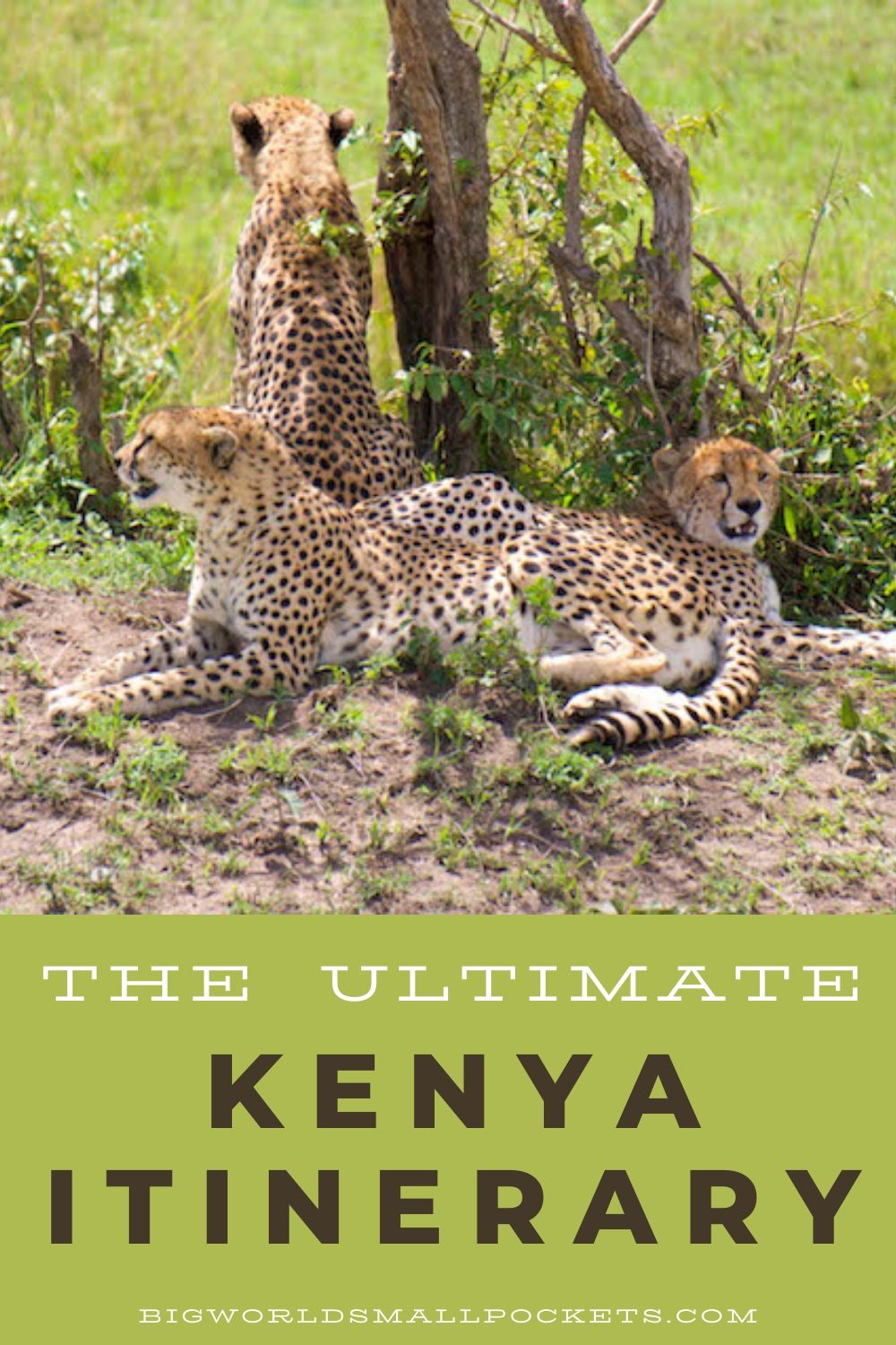 The Ideal Kenya Travel Itinerary