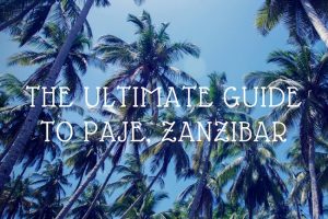 The Ultimate Guide to Paje, Zanzibar