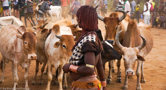 Ethiopia, Hamar, Jumping Bull Ceremony