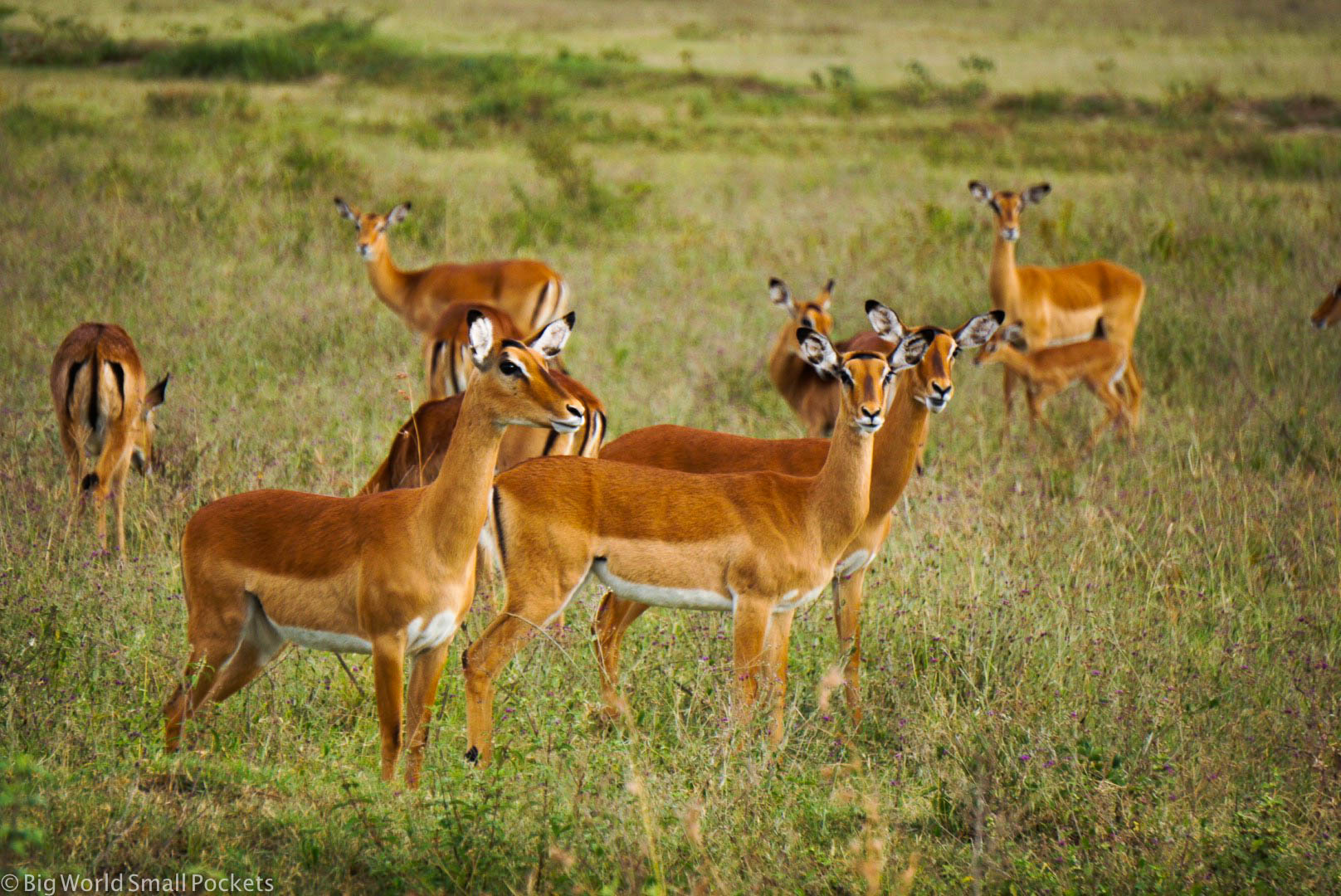 Best Places to Explore in East Africa in 2025