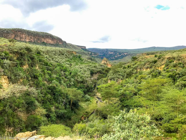 Kenya, Hells Gate NP, Lookout