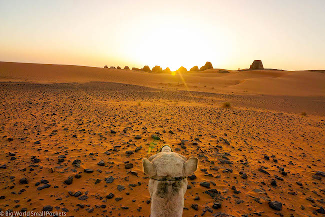 Sudan, Meroe, Camel Ride
