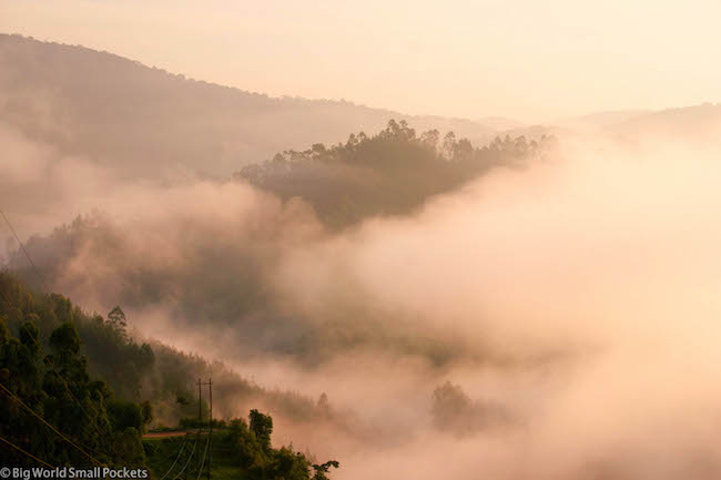 Uganda, Bwindi, Sunrise