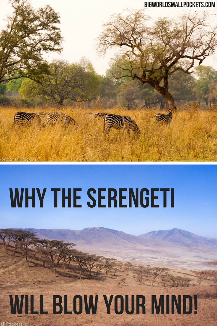 Why Tanzania's Serengeti National Park is Mind Blowing! {Big World Small Pockets}