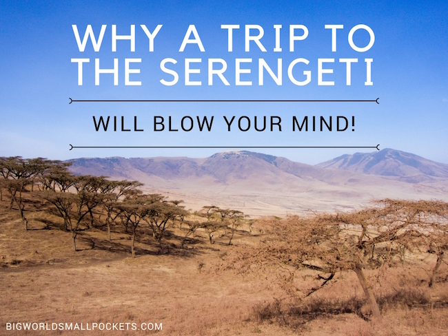 Why a Trip to the Serengeti Will Blow Your Mind!